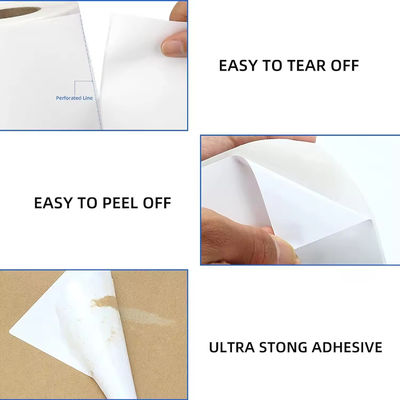 Global Package Label For International Shipping And Postal Standards