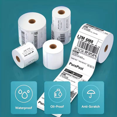 Global Package Label For International Shipping And Postal Standards