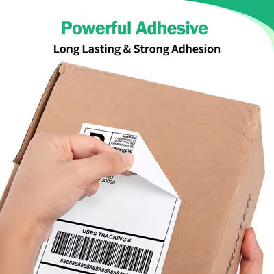 Eco Friendly Customizable Shipping Labels For Paperless Shipping