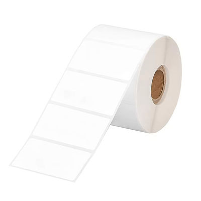 Glossy White Permanent Adhesive Transfer Label Solvent Resistant