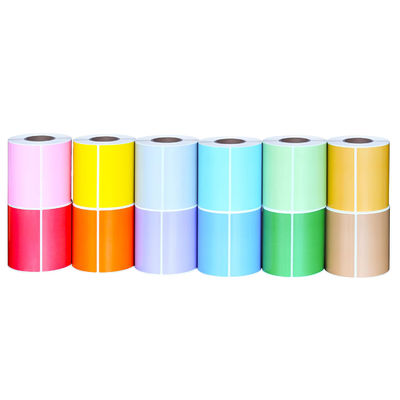 Rectangle Removable Adhesive Colored Labels Waterproof Customized